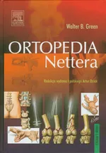 Ortopedia Nettera - Outlet - Green Walter B.