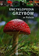 Encyklopedia grzybów w Polsce - Outlet - Malwina Flaczyńska