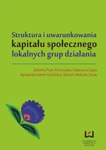 Struktura i uwarunkowania kapitału społecznego lokalnych grup działania - Agnieszka Kretek-Kamińska