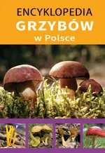 Encyklopedia grzybów w Polsce - Outlet