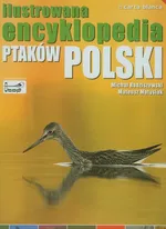 Ilustrowana encyklopedia ptaków Polski - Outlet - Mateusz Matysiak