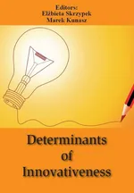 Determinants of Innovativeness