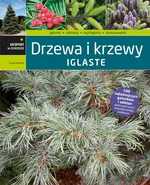Drzewa i krzewy iglaste - Lucjan Kurowski