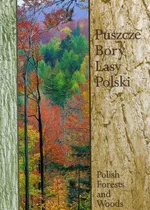 Puszcze bory lasy Polski