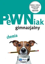 PeWNiak gimnazjalny Chemia - Outlet - Sebastian Grabowski