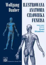 Ilustrowana anatomia człowieka Feneisa - Outlet - Wolfgang Dauber