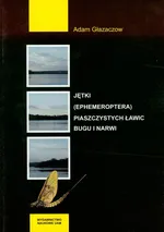 Jętki (ephemeroptera) piaszczystych ławic Bugu i Narwi - Adam Głazaczow