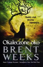 Powiernik Światła Księga 3 Okaleczone oko - Outlet - Brent Weeks