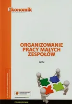 Organizowanie pracy małych zespołów Podręcznik - Outlet - Iza Flor