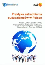 Praktyka zatrudniania cudzoziemców w Polsce - Outlet - Magda Ciara