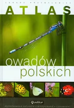 Atlas owadów polskich - Łukasz Przybyłowicz