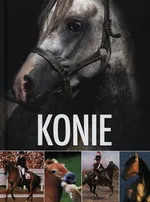 Konie - Maria Kulisa