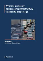 Wybrane problemy nowoczesnej infrastruktury transportu drogowego - Outlet