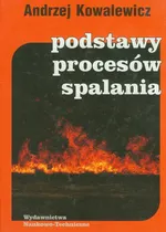 Podstawy procesów spalania - Outlet - Andrzej Kowalewicz
