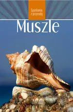 Muszle - Aleksander Penkowski
