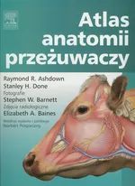 Atlas anatomii przeżuwaczy - Ashdown Raymond R.