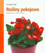 Rośliny pokojowe - Outlet - Jarosław Rak