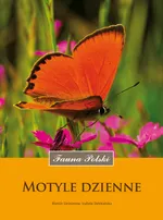 Motyle dzienne - Izabela Dziekańska