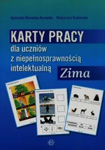 Karty pracy dla uczniów z niepełnosprawnością intelektualną Zima - Outlet - Agnieszka Borowska-Kociemba