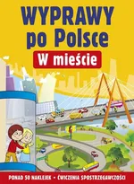 Wyprawy po Polsce W mieście - Ludwik Cichy