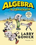 Algebra w obrazkach - Larry Gonick
