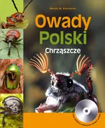 Owady Polski Chrząszcze - Outlet - Kozłowski Marek W.