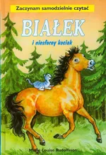 Białek i niesforny kociak Tom 11 - Rudolfsson Marie Louise