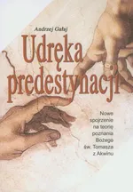 Udręka predystynacji - Andrzej Gałaj