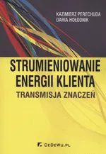 Strumieniowanie energi klienta - Daria Hołodnik