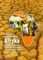 Plemienna i postplemienna Afryka Koncepcje i postaci wspólnoty w dawnej i współczesnej Afryce - Outlet - Ryszard Vorbrich
