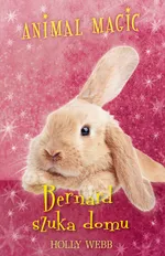 Animal Magic Bernard szuka domu - Outlet - Holly Webb