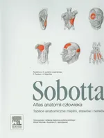 Atlas anatomii człowieka Sobotta