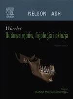 Wheeler Budowa zębów, fizjologia i okluzja - Nelson Stanley J.