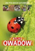 Atlas owadów - Outlet - Kamila Twardowska