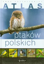Atlas ptaków polskich - Outlet - Anna Przybyłowicz