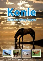 Konie - Jolanta Reisch-Klose