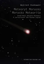 Meteoryt Morasko - Wojciech Stankowski
