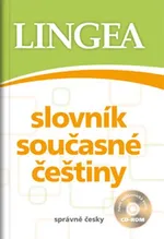 Słownik współczesnego języka czeskiego + CD - Outlet