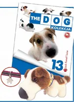 Dog Kolekcja 13 Jack Russell Terrier