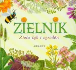 Zielnik Zioła łąk i ogrodów - Henryk Garbarczyk