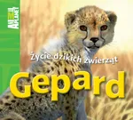 Gepard Życie dzikich zwierząt - Outlet - Meredith Costain