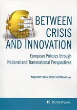 Between Crisis and Innovation