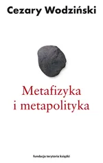 Metafizyka i metapolityka Czarne zeszyty Heideggera - Cezary Wodziński