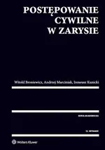 Postępowanie cywilne w zarysie - Witold Broniewicz