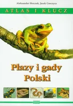 Płazy i gady Polski Atlas i klucz - Outlet - Jacek Gorczyca