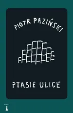 Ptasie ulice - Outlet - Piotr Paziński