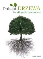 Polska Drzewa Encyklopedia ilustrowana - Outlet - Anna Przybyłowicz