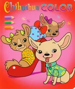 Chihuahua color