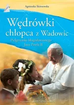 Wędrówki chłopca z Wadowic - Agnieszka Skórzewska