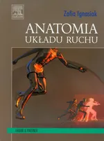 Anatomia układu ruchu - Outlet - Zofia Ignasiak